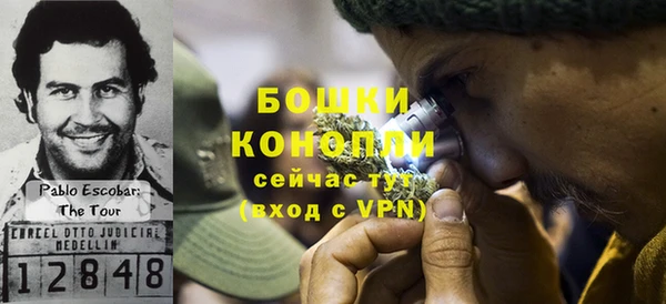 крисы Гусев