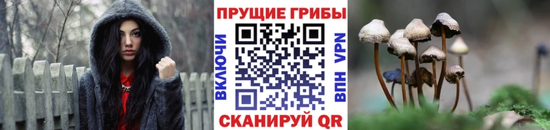 Галлюциногенные грибы прущие грибы  Миасс 