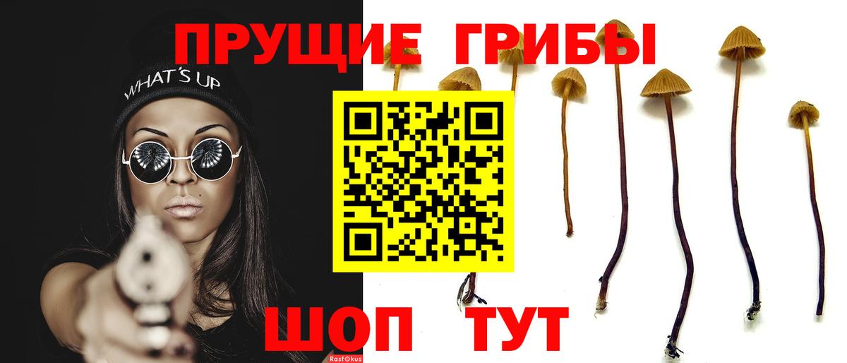 Миасс  Псилоцибиновые грибы Psilocybine cubensis  Псилоцибиновые грибы MAGIC MUSHROOMS  Вход с VPN 